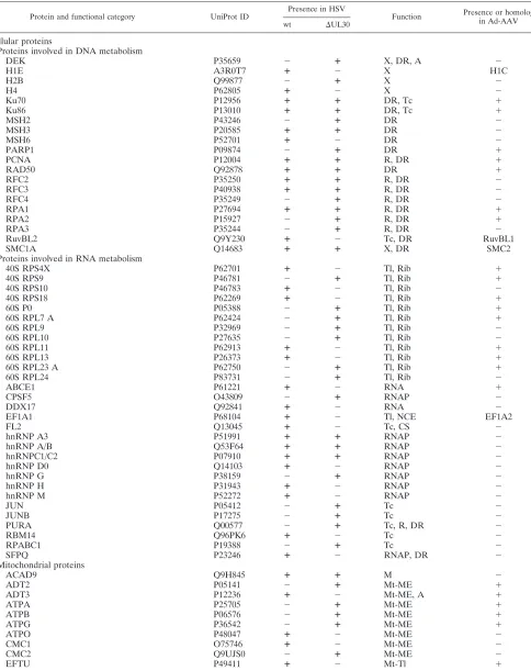 TABLE 1. Identiﬁcation and classiﬁcation of proteins in Rep-associated complexesa