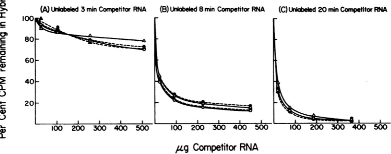 FIG. 3.purified(0.4synthesizedE.mCi/mmol.M),filter)methodofinfectedlabeledwas(0.1theW3110thy-min; coli T5 Hybridization-competition analysis of T5 RNA synthesized in vitro by different preparations of RNA polymerase