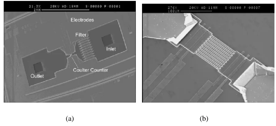 Figure 1.4: (a) Layout of the device developed by Koch et. al (1999). The inlet is to the right, the outlet to the left and the electrodes on top