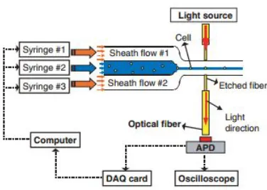 Figure 1.8: Schematic of the microfluidic flow cytometer based on fluorescence. Cells are hydrodynamically focused through the detection region
