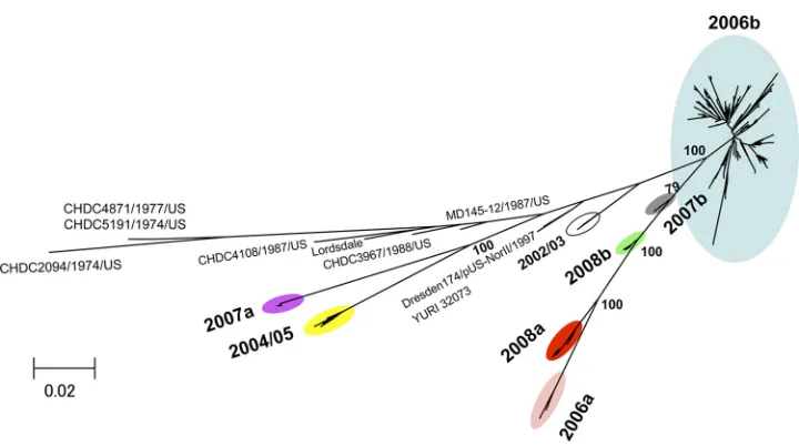 FIG. 1. Phylogenetic classiﬁcation of the NoV GII/4 subtypes in Japan during 2006 and 2009
