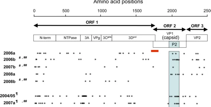 FIG. 5. Amino acid signatures of the NoV GII/4 subtypes. The deduced amino acid sequences of ORF1, ORF2, and ORF3 of a given GII/4subtype were aligned with the GII/4 sequences identiﬁed before the outbreak season of the subtype