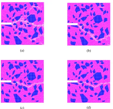 Figure 4.1 Crack Patterns from Lattice Modeling with Displacement Control (a) dt=5.0e-3, (b) dt=1.0e-3, (c) dt=1.0e-4, and (d) dt=5.0e-5 (sec)
