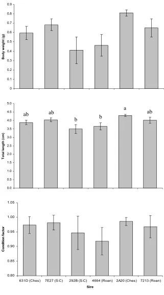 Figure 9. Least squares means for dam 2E55 PAFL progeny (±SE) for Phase I body weight, total  length, and condition factor