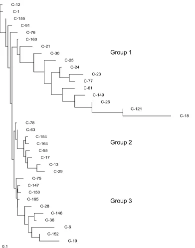 Figure 2. Neighbor-joining tree constructed from the distance matrix of the transformed proportion of shared alleles [-ln (1-PSA)] for the Chesapeake strain