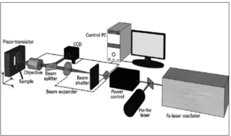 Figure 1.2: “Scheme of the 2PP fabrication setup.” From [9] – Fig. 2, pg. 57. 