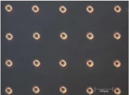 Figure 2.2: Phase contrast optical micrograph of array of Vetbond™ n-butyl cyanoacrylate adhesive on a glass microscope slide