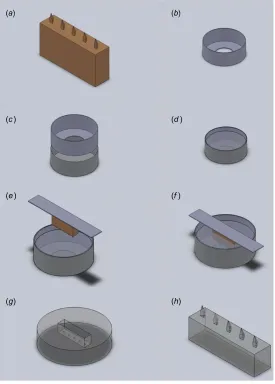 Figure 4.1: mask The master arrays were then lowered Key steps in processing Gantrez®AN 169 BF microneedle arrays by means of visible light dynamicmicro-stereolithography-micromolding