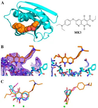 FIG. 4. ThermoFluor analysis of metal dependence on inhibitorbinding to full-length RT