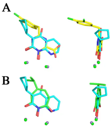 FIG. 7. Comparison between the binding of naphthyridinones withother RNase H binding inhibitors