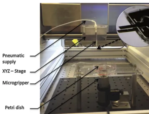 Fig. 15. Experimental seutp for pick-and-place demonstration.