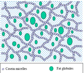 Fig. 1.1: Schematic of cheese: a protein gel network entrapping fat and Fig. 1.1: Schematic of cheese moisture (Zhong, 2003; redrawn from Fox et al., 2000)