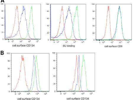 FIG. 2. FACS assays for detection of cell surface receptors. (A) Detection of CD134 and CD9 receptors on 104-C1 and 104-C1-OrfA cells.(Left) Detection of CD134 using rabbit anti-CD134 antibody
