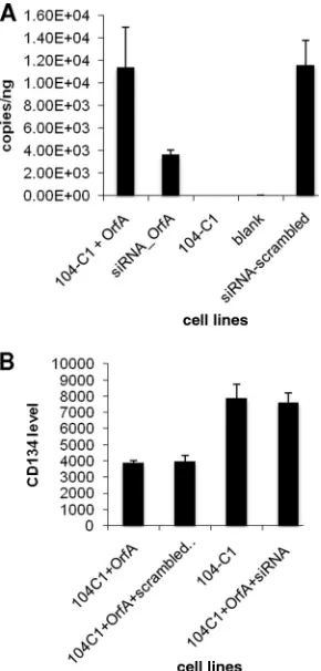 FIG. 3. OrfA mRNA quantitation and FACS assays on CD134surface levels for siRNA-treated OrfA knockdown cells