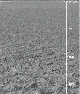 Figure 1: A typical gradient structured metal with grain sizes around 20 nm on the surface 