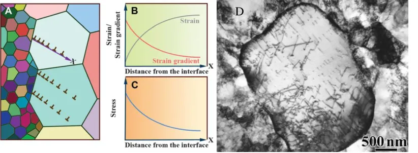 Figure 7: (A) Schematics of the piling up of GNDs at the interlamellar interface. (B) Plastic 