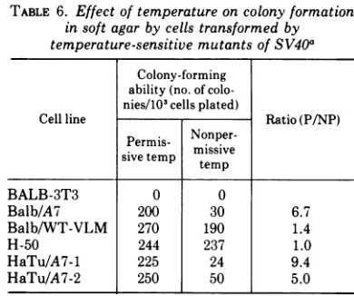 TABLE 4. Effect of temperature on colony formation on plastic surfaces by cells transformed bytemperature-sensitive mutants of SV40a