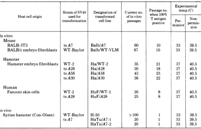 TABLE 1. Origin and designation of SV40-transformed cell lines employed in this study