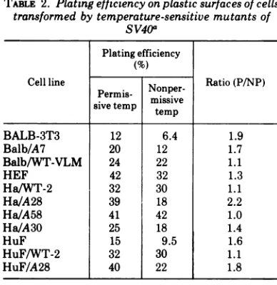 TABLE 2. Plating efficiency on plastic surfaces of cellstransformed by temperature-sensitive mutants of
