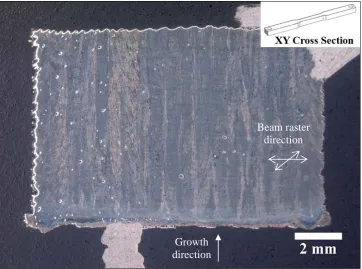 Figure 4.10.  Low magnification optical image of mounted XY Cross Section samples as used for 