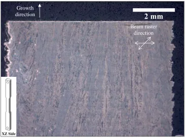 Figure 4.11.  Low magnification optical images of mounted XZ Side sample as used for 