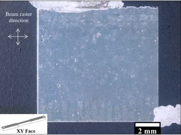 Figure 4.12.  Low magnification optical image of mounted XY Face sample as used for  