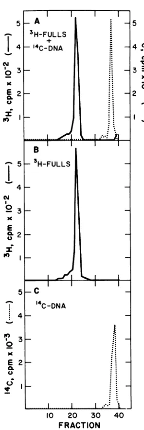 FIG. and 74 hemaggluti-nationwereexceptbehavior. 102 counts/min units/ag withpolyomaA,omitted