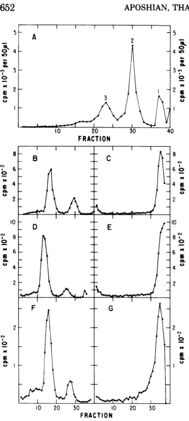 FIG. 8.standard37Pronase.quotsandatmixturecontainedthat(0);(100 37 C Digestion of the capsid-DNA complexes by The standard assay method was used, except serum albumin was omitted from the incubation andthe gradient.The reaction mixture 11.2 gg of polyoma e