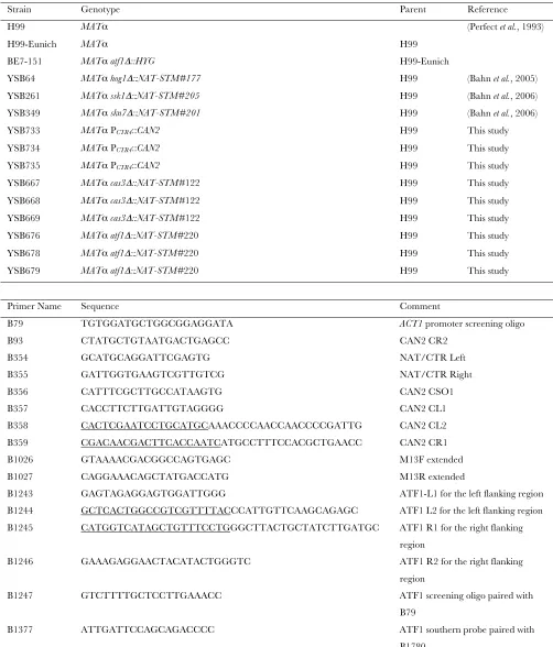 TABLE S1 