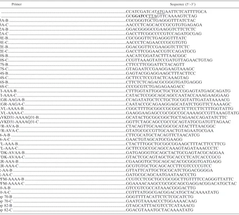 TABLE 1. Primers utilized to generate the mutant alleles of F18 described in this studya