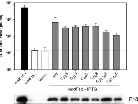 FIG. 4. Establishment of a transient complementation assay forstructure/function analysis of F18; conserved cysteine residues are not