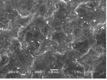 Fig. 5: Scanning Electron Microscope (SEM) images of coated surface at different magnification at 500X