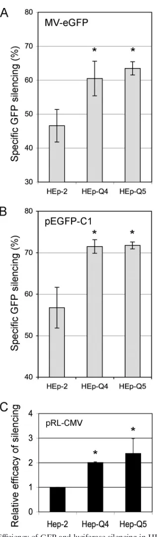 FIG. 3. Efﬁciency of GFP and luciferase silencing in HEp-2, HEp-Q4, and HEp-Q5 cells after transfection with speciﬁc siRNAs
