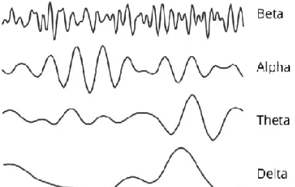 Figure 3:  The steps for EEG signals processing. 
