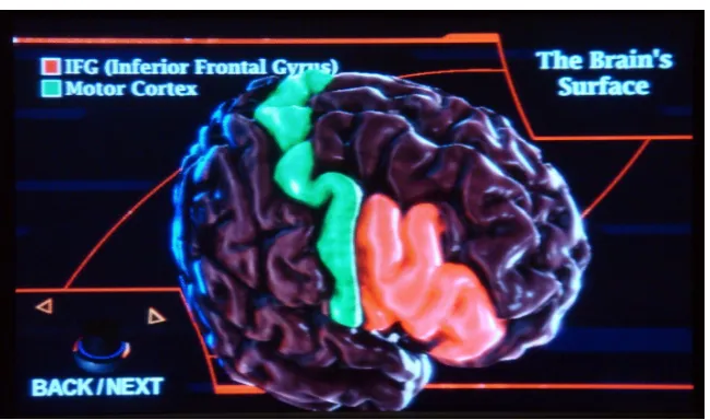 Figure 3.1. A screenshot showing the 3D effects of the brain.