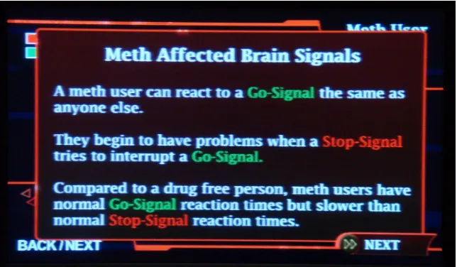 Figure 3.2. A screenshot presenting brief descriptions of the brain being modeled.