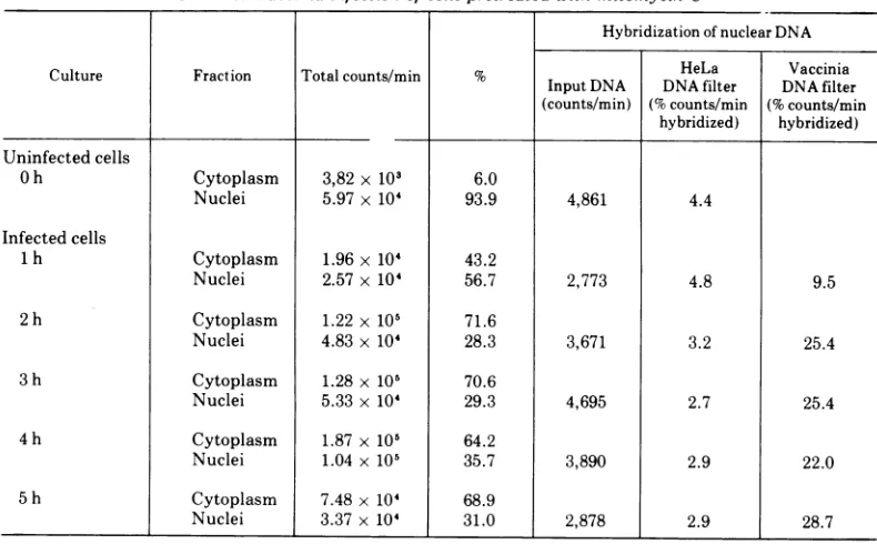 TABLE 5. In vitro synthesis of host and vaccinia DNA by isolated nucleia