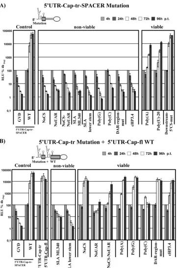 FIG. 7. The SLA is 5�SPACER replicon. RLU was monitored over a time course of 96 h. The name and a schematic diagram of the 5above the graph, indicating the region into which mutations were introduced