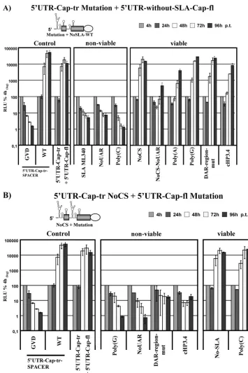 FIG. 8. Two functional units are present in the viral 5�upstream of the EMCV IRES is provided above the graph, and the region into which mutations were introduced is indicated