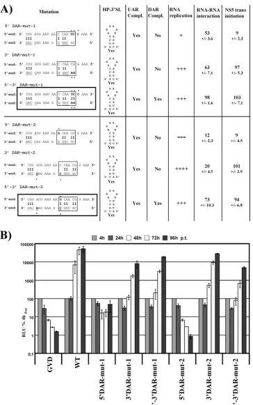 FIG. 5. Loss of replication due to 5�results. Detailed overview of mutations introduced into the 5refer to the legend to Fig