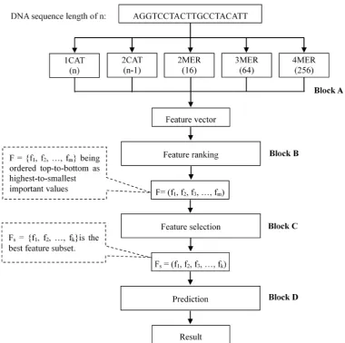 Figure 1. The flowchart of the proposed algorithm. 