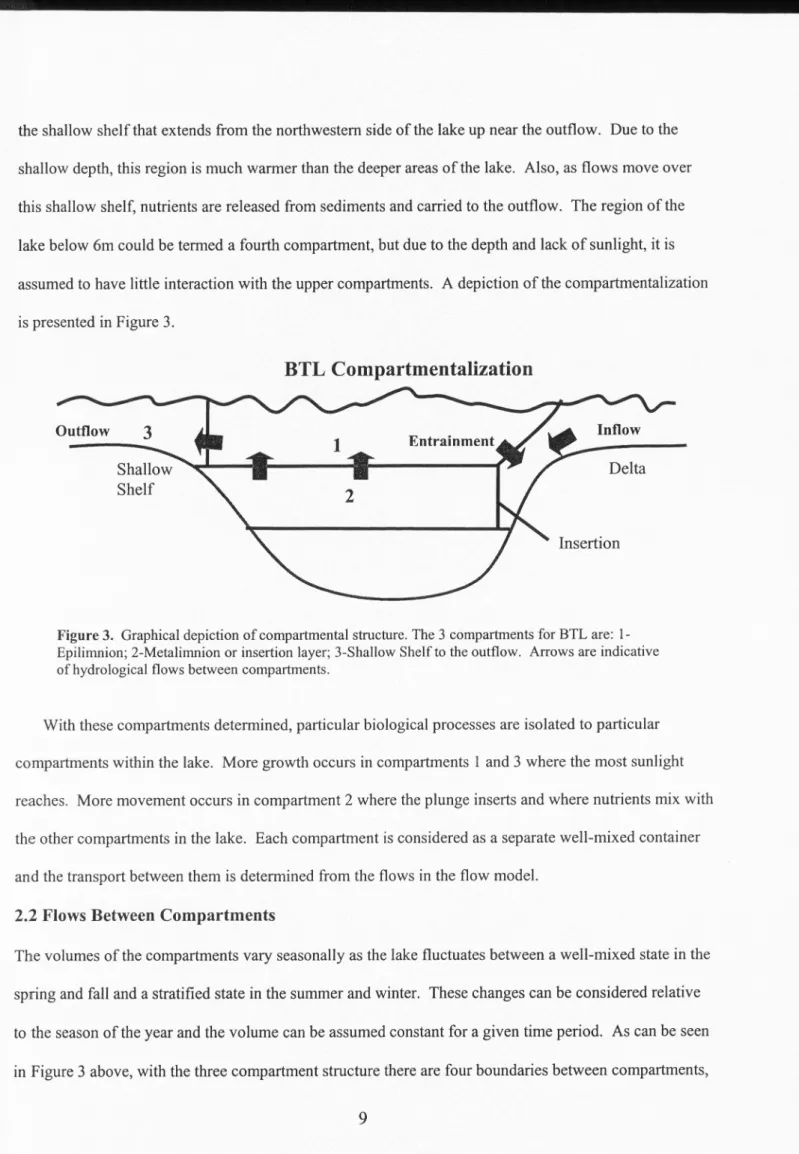 Figure  3.  Graphical  depiction  of compartmental  structure.  The  3 compartments  for BTL are : 1- 1-Epilimnion;  2-Metalimnion  or  insertion  layer; 3-Shallow  Shelf to the outflow
