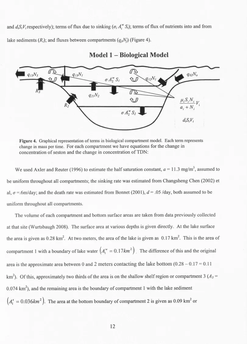 Figure 4.  Graphical representation of terms in biological compartment model.  Each term represents  change in mass per time