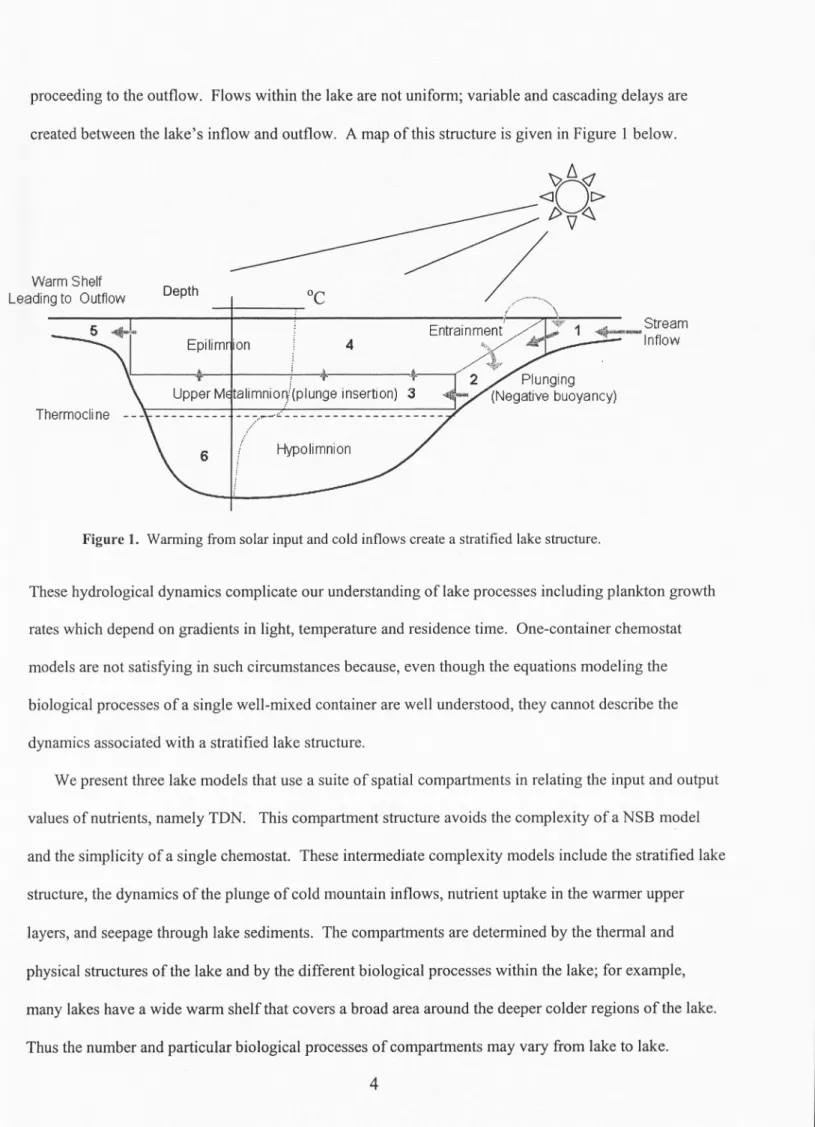 Figure  1.  Warming  from solar  input and cold  inflows create a stratified  lake structure 