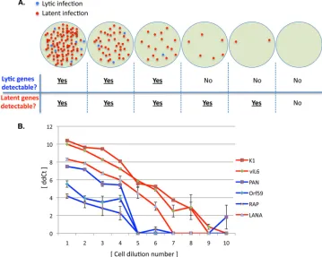 FIG. 3. Detection of latent transcripts by use of serial cell dilution analysis. (A) Schematic of the method for evaluating latent viral geneexpression