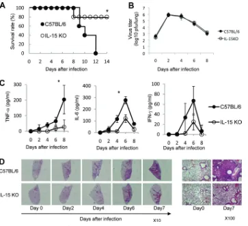 FIG. 1. Mortality and viral clearance in IL-15 KO mice after infection with inﬂuenza virus A/FM/1/47