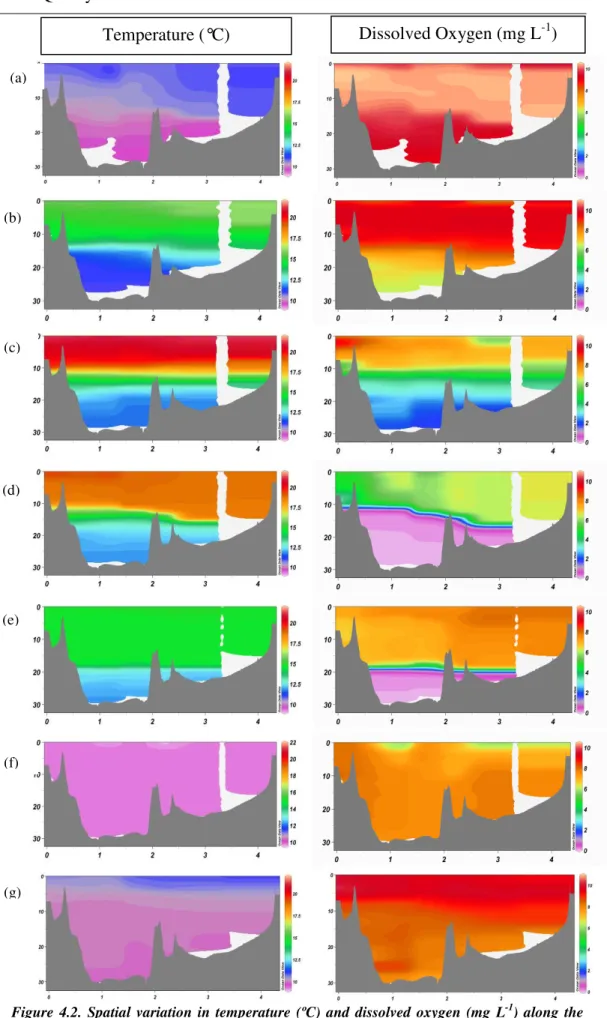 Figure  4.2.  Spatial  variation  in  temperature  (ºC)  and  dissolved  oxygen  (mg  L -1 )  along  the  CTD transect