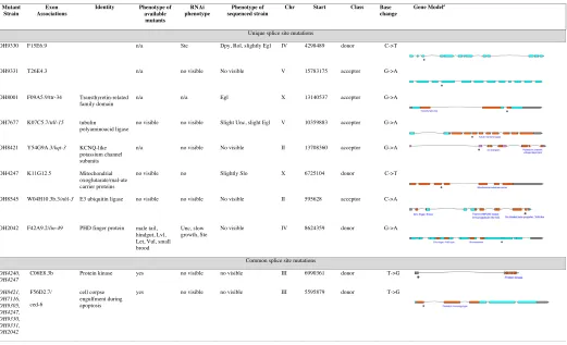 TABLE S3 