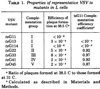 TABLE 1. Properties of representative VSV tsmutants in L cells