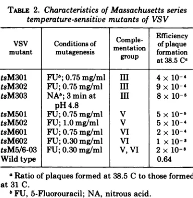 TABLE 2. Characteristics of Massachusetts seriestemperature-sensitive mutants of VSV